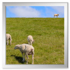 Butjadingen-Fedderwardersiel