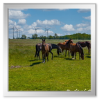 Butjadingen-Fedderwardersiel