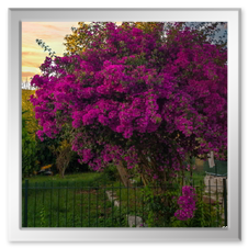 Was es sonst noch so zu sehen gab