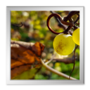 Wanderung in der Umgebung von Vucetinec