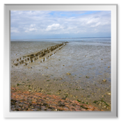 Vor und hinter dem Deich