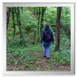 Spaziergang in der Umgebung Vucetinec