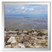 Vor und hinter dem Deich